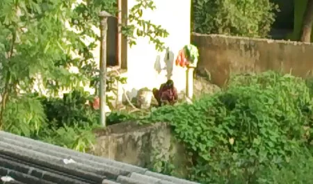 বড়ো মাই, সুন্দরি জোর করে চুদাচুদি ভিডিও সেক্সি মহিলার