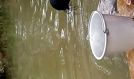 বাঁড়ার রস খাবার জোর করে চোদার গল্প অপেশাদার হাতের কাজ