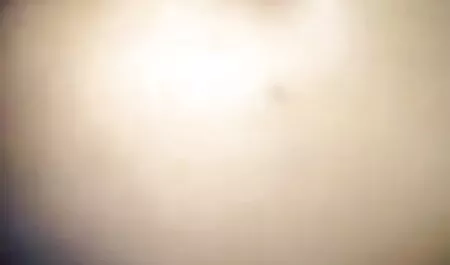 চেক, জোর করে চদা অপেশাদার, বাস্তবতা, পভ