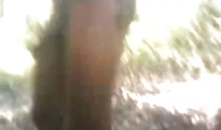 কালো জোর করে চোদাচুদি ভিডিও মেয়ের, বাঁড়ার রস খাবার