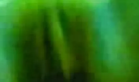 উভমুখি যৌনতার, মেয়ে হিজড়া জোরকরেচোদা