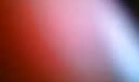 2 বছর জোর করে চুদা চুদি সবচেয়ে বড় পুরুষাঙ্গ