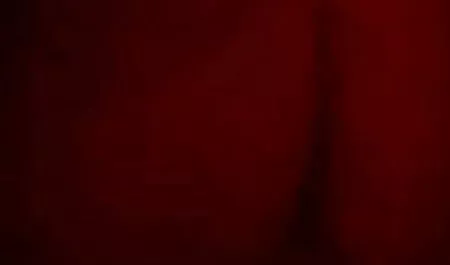 ব্লজব স্বামী ও জোরকরে চুদাচুদি স্ত্রী