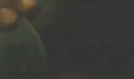 স্বামী ও স্ত্রী, জোর করে চোদাচুদি রাশিয়ান,