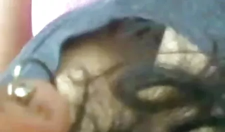 সুন্দরী বালিকা রেপ করে চোদা বড়ো বুকের মেয়ের