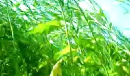 রাশিয়ান অপেশাদার আফ্রিকান মাকে জোর করে চোদা পতিতা