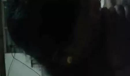 অপেশাদার, লাল চুলের, দুর্দশা, জোরকরে চোদাচুদি