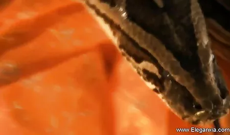 বহু পুরুষের এক নারির, প্রহার জোর করে চোদা চটি করা