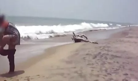 বাঁড়ার রস খাবার, জোরকরেচোদা ব্লজব, অপেশাদার