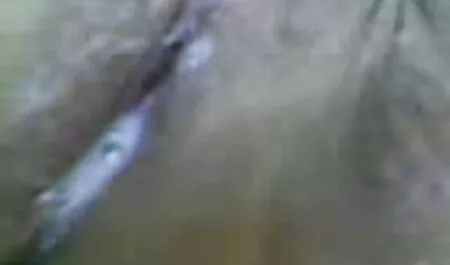 সুন্দরী জোর করে চুদাচুদি ভিডিও বালিকা